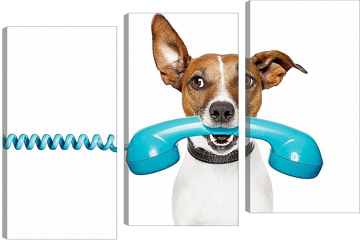 Модульная картина - Собака с телефоном