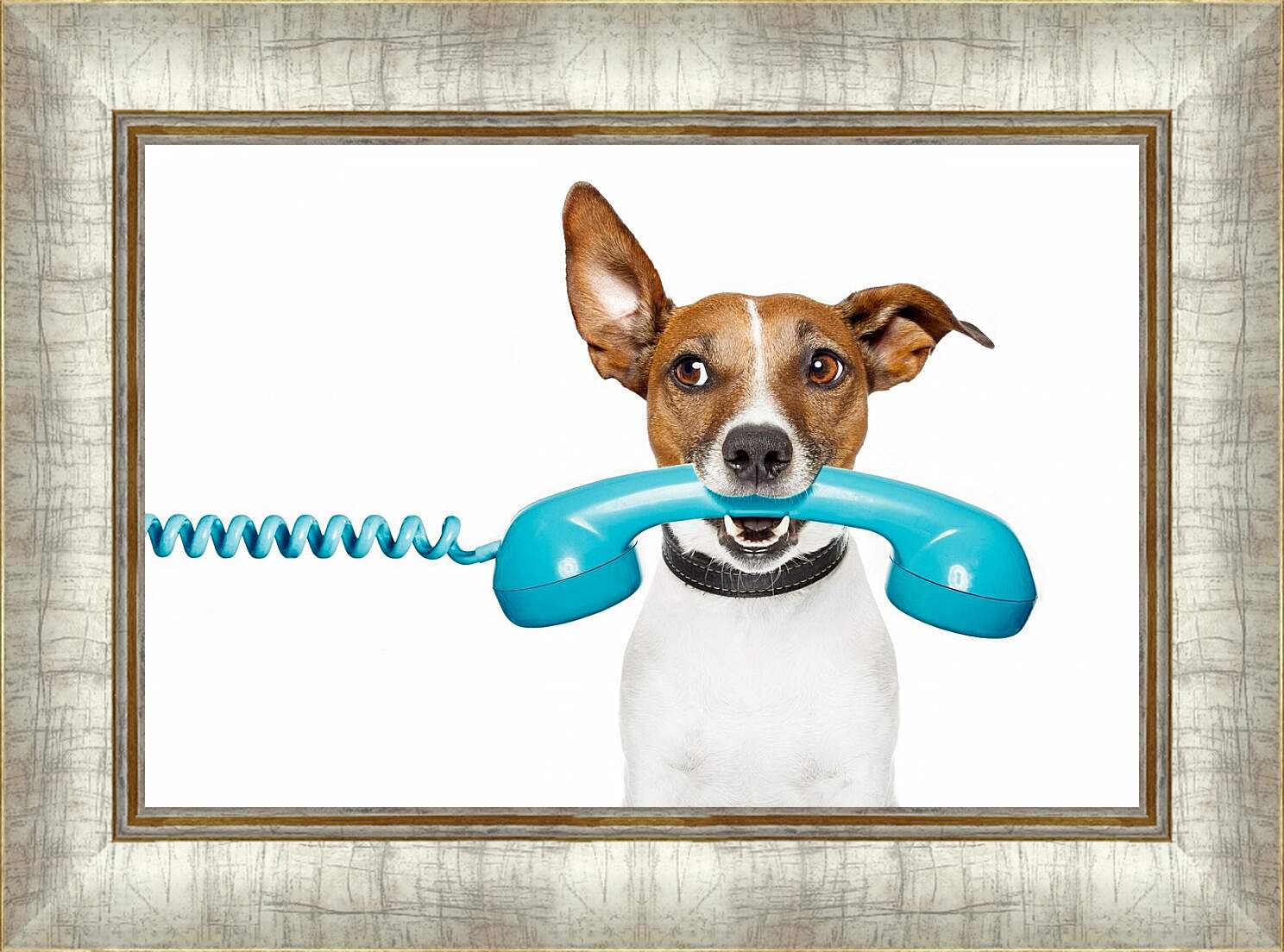 Картина в раме - Собака с телефоном
