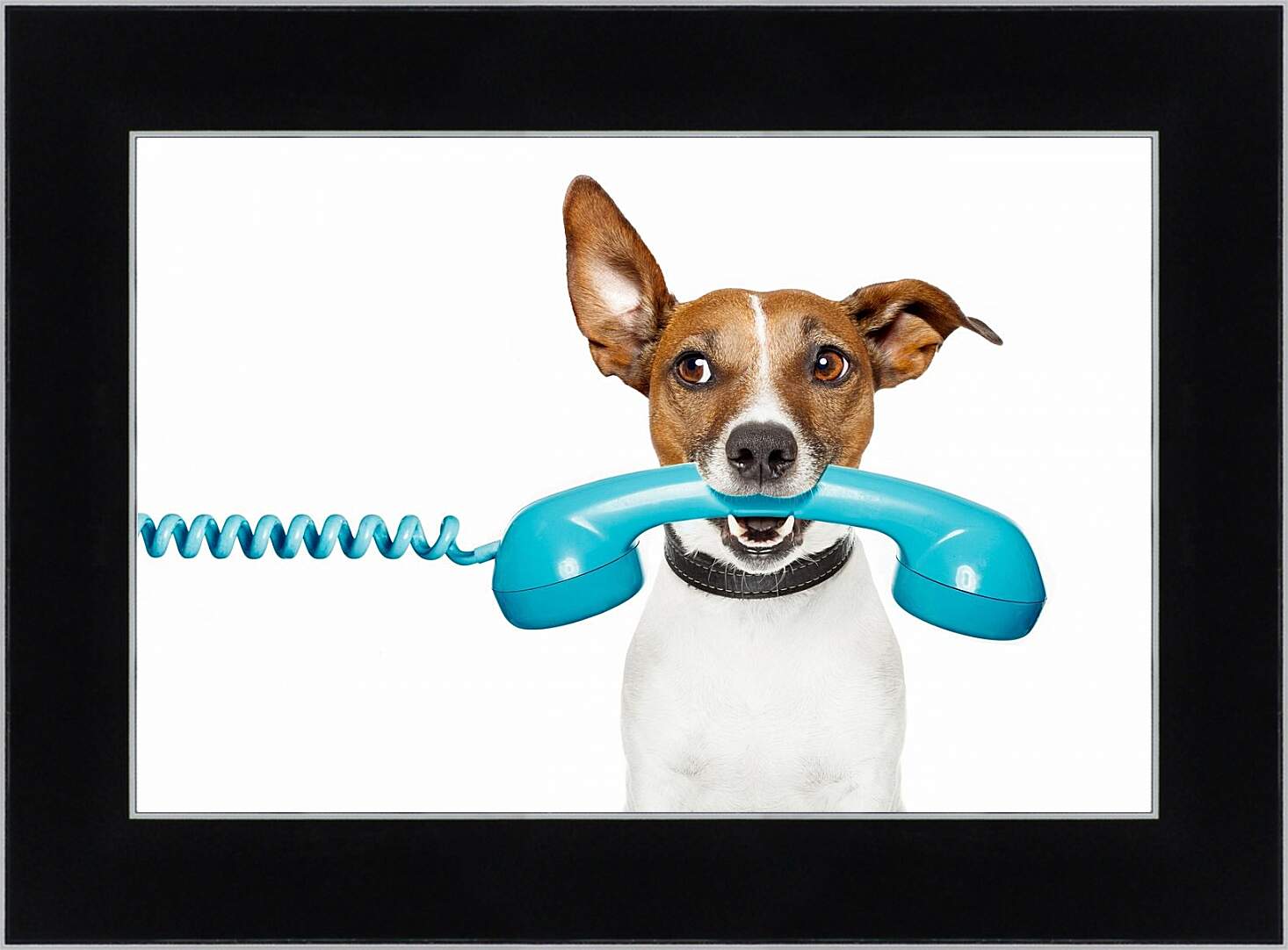 Картина в раме - Собака с телефоном