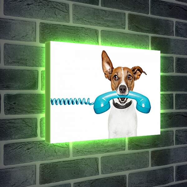 Лайтбокс световая панель - Собака с телефоном