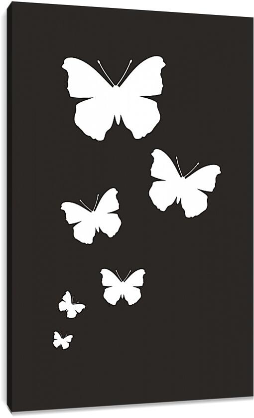 Постер и плакат - Белые бабочки на черном фоне