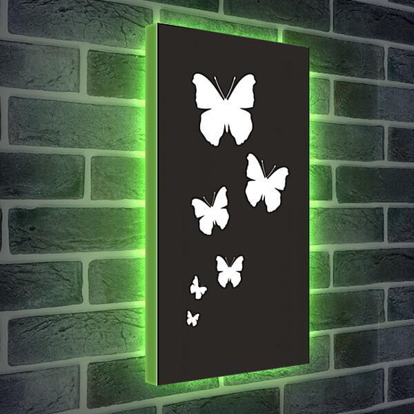 Лайтбокс световая панель - Белые бабочки на черном фоне