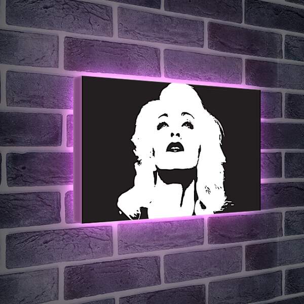 Лайтбокс световая панель - Мадонна