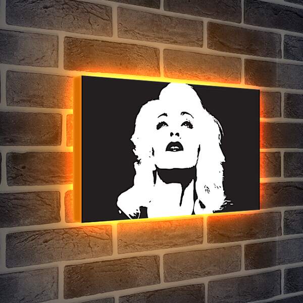 Лайтбокс световая панель - Мадонна