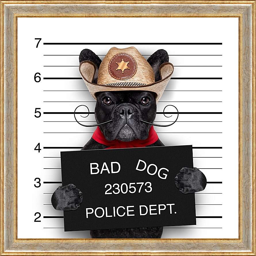 Картина в раме - Собака в полицейском участке