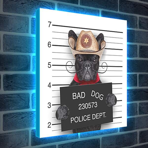 Лайтбокс световая панель - Собака в полицейском участке