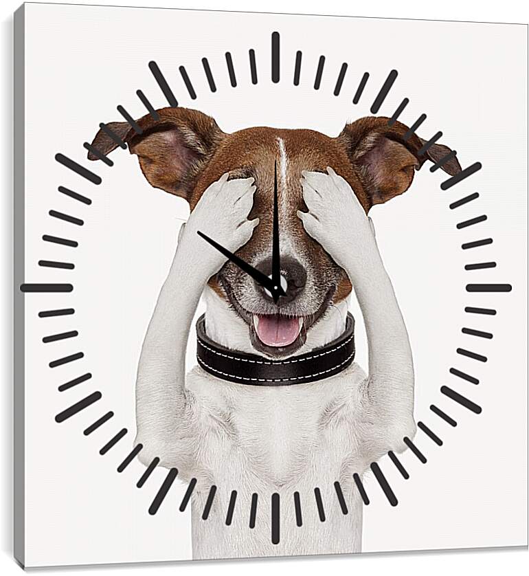 Часы картина - Собака закрыла глаза