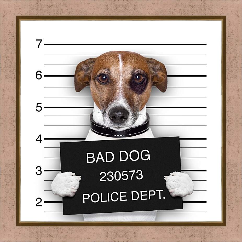 Картина в раме - Собака в полицейском участке
