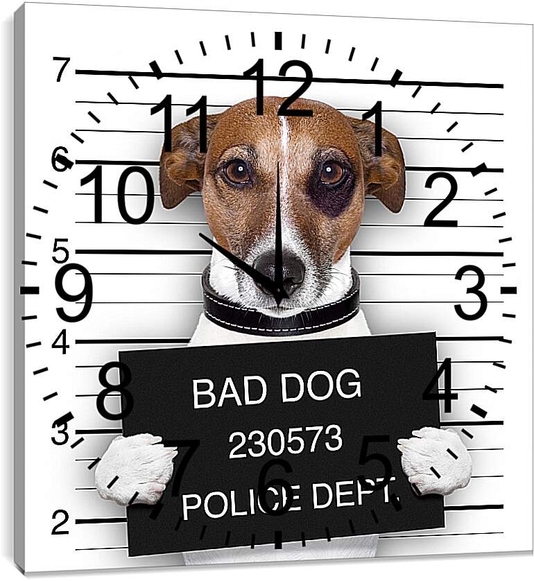 Часы картина - Собака в полицейском участке
