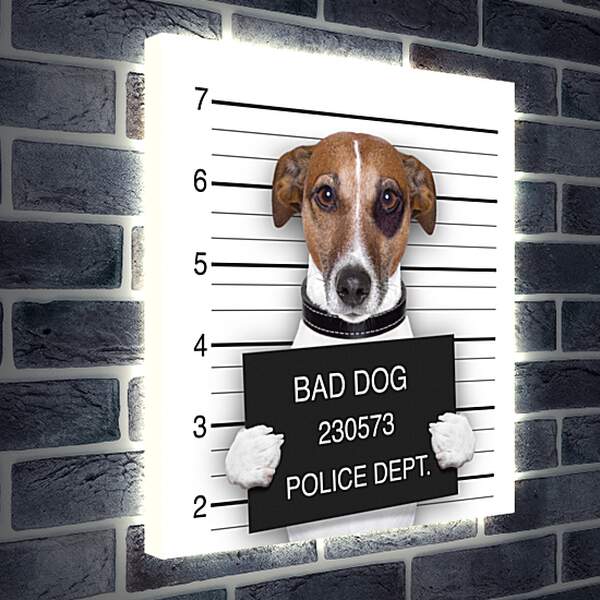 Лайтбокс световая панель - Собака в полицейском участке