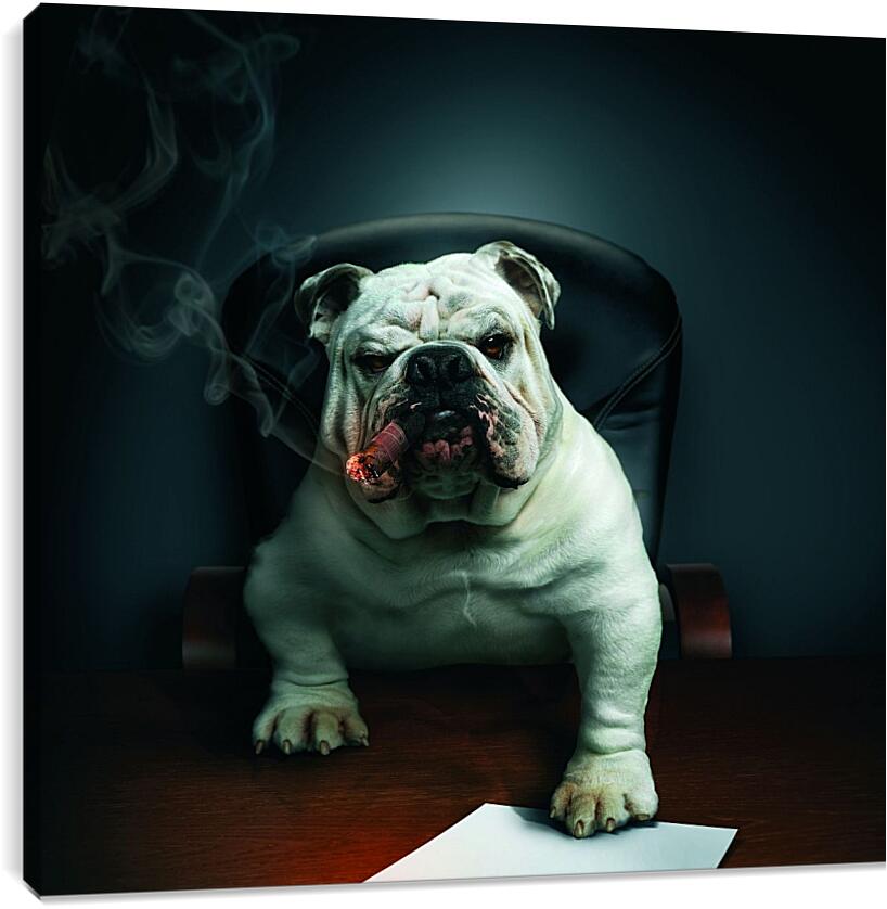 Постер и плакат - Собака босс в кабинете