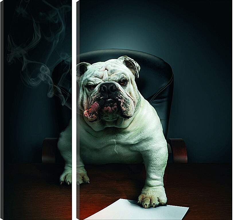 Модульная картина - Собака босс в кабинете