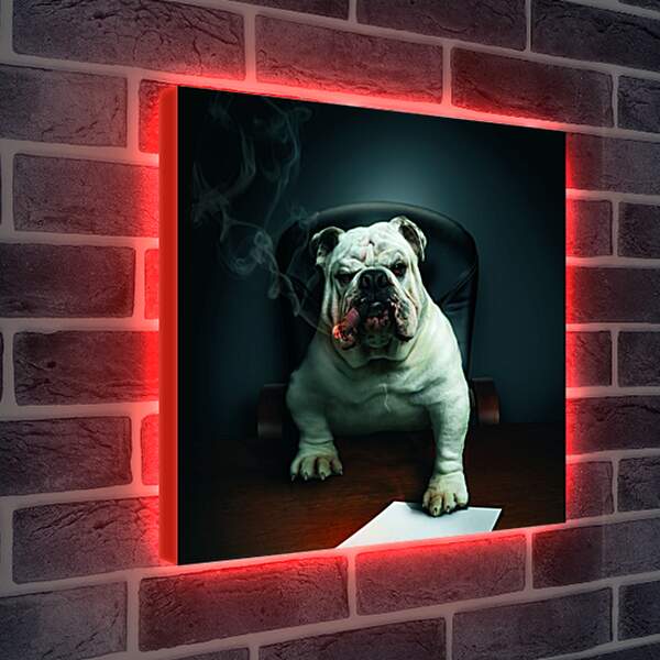 Лайтбокс световая панель - Собака босс в кабинете