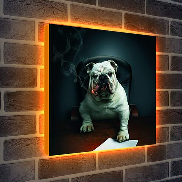 Лайтбокс световая панель - Собака босс в кабинете