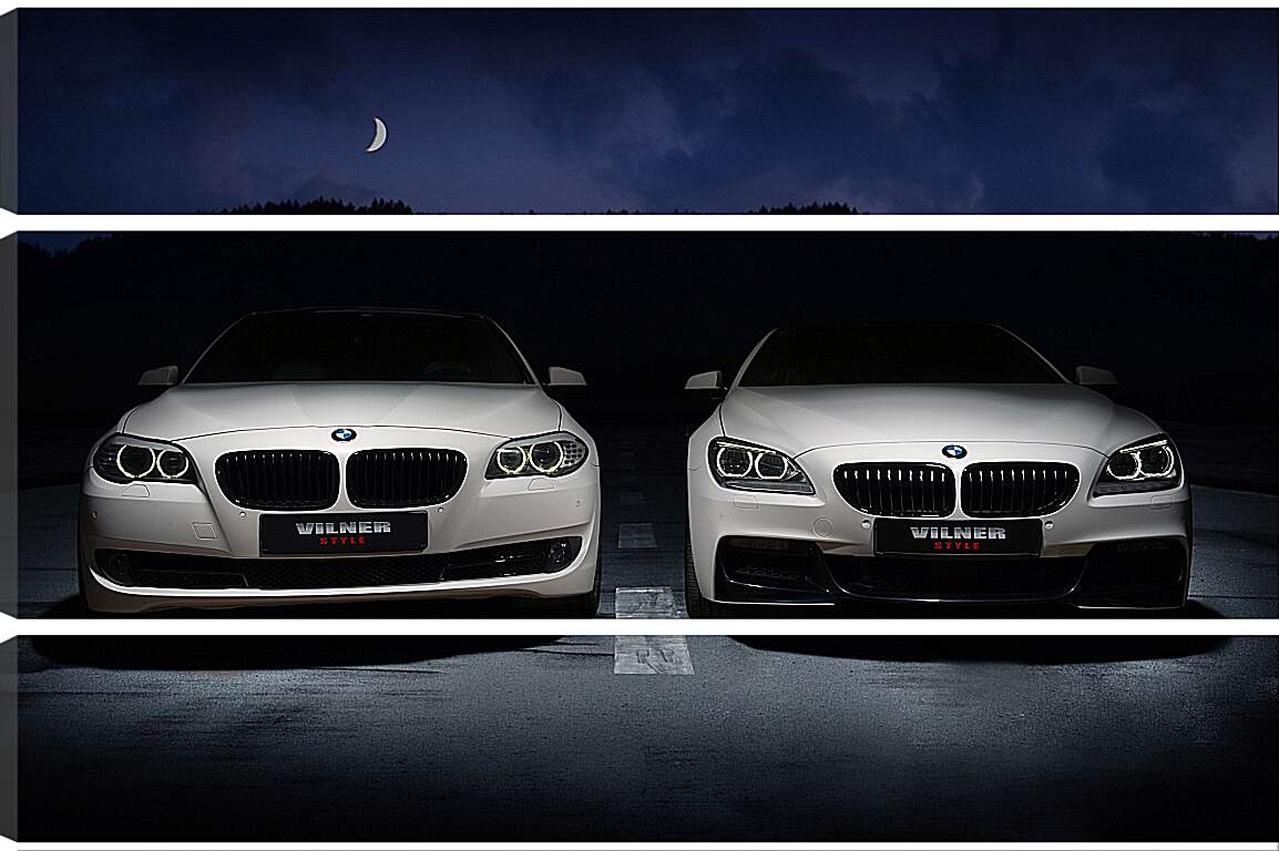 Модульная картина - BMW 5й и 6й серии