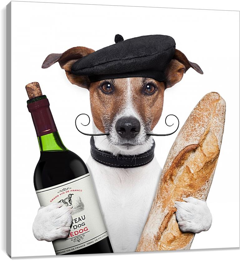 Постер и плакат - Французская собака с багетом и бутылкой вина