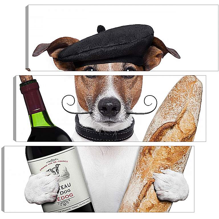 Модульная картина - Французская собака с багетом и бутылкой вина