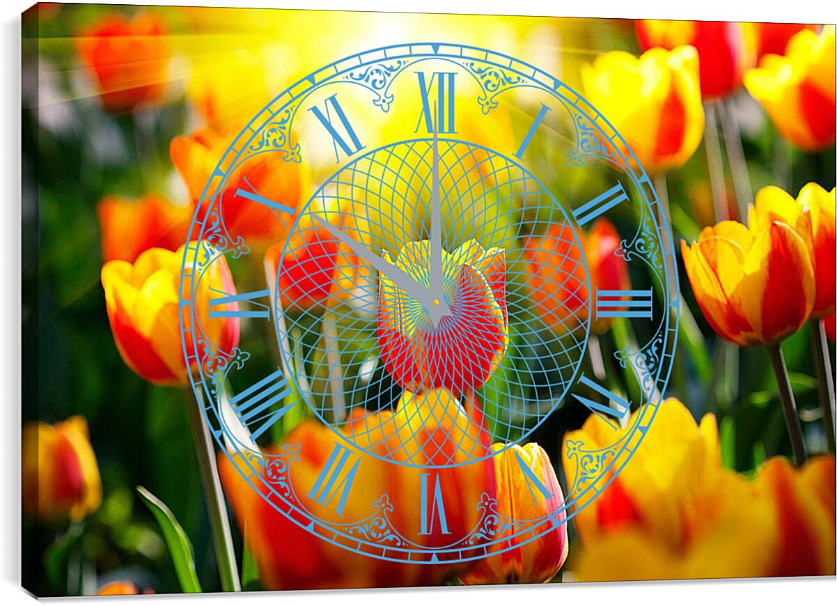 Часы картина - Тюльпаны на солнце