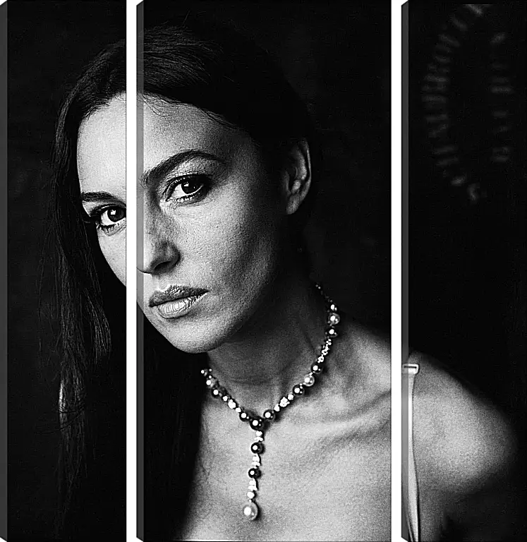 Модульная картина - Моника Беллуччи (Monica  Bellucci)