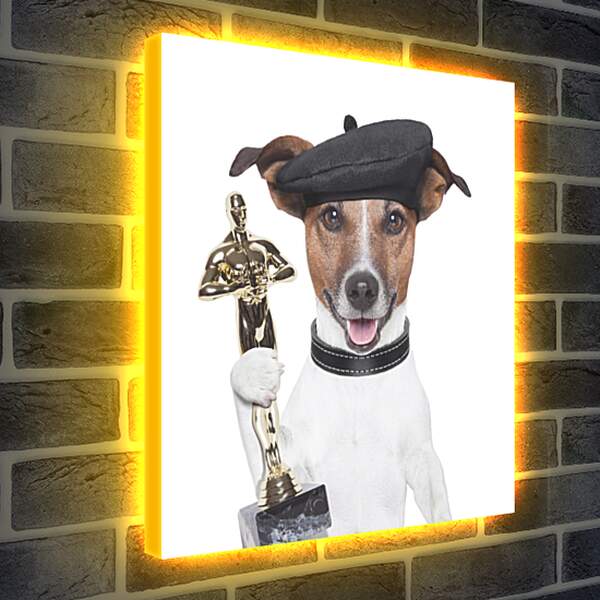 Лайтбокс световая панель - Собака получила премию  Оскар