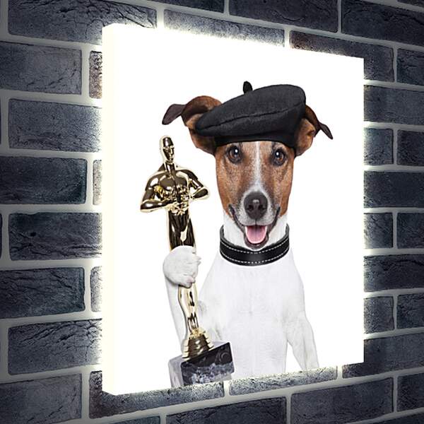Лайтбокс световая панель - Собака получила премию  Оскар