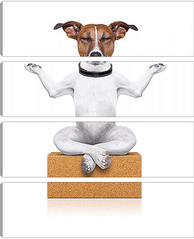 Модульная картина - Собака медитирует