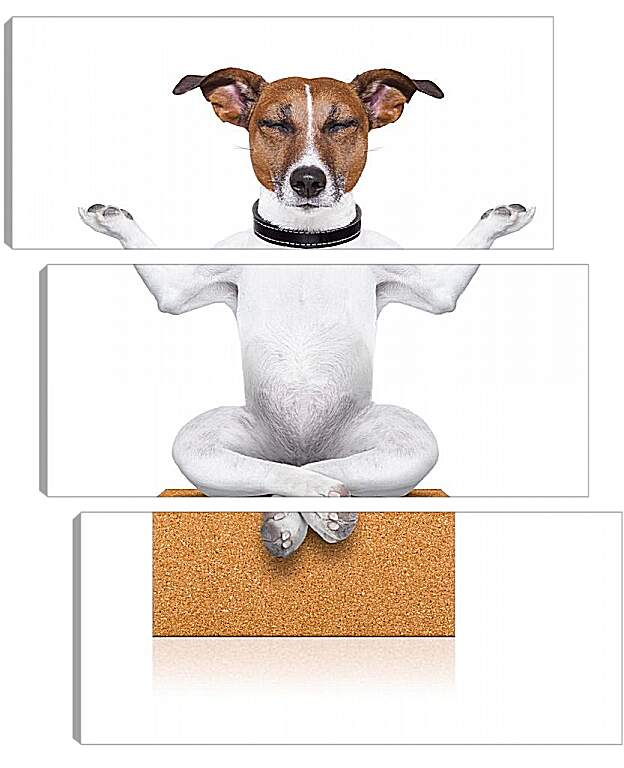 Модульная картина - Собака медитирует
