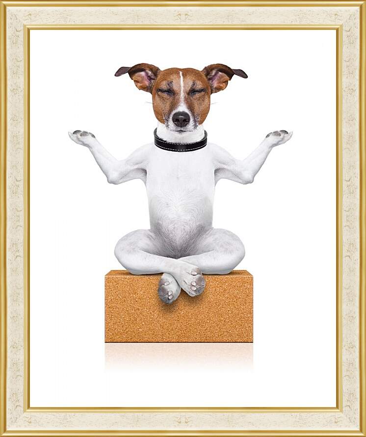 Картина в раме - Собака медитирует