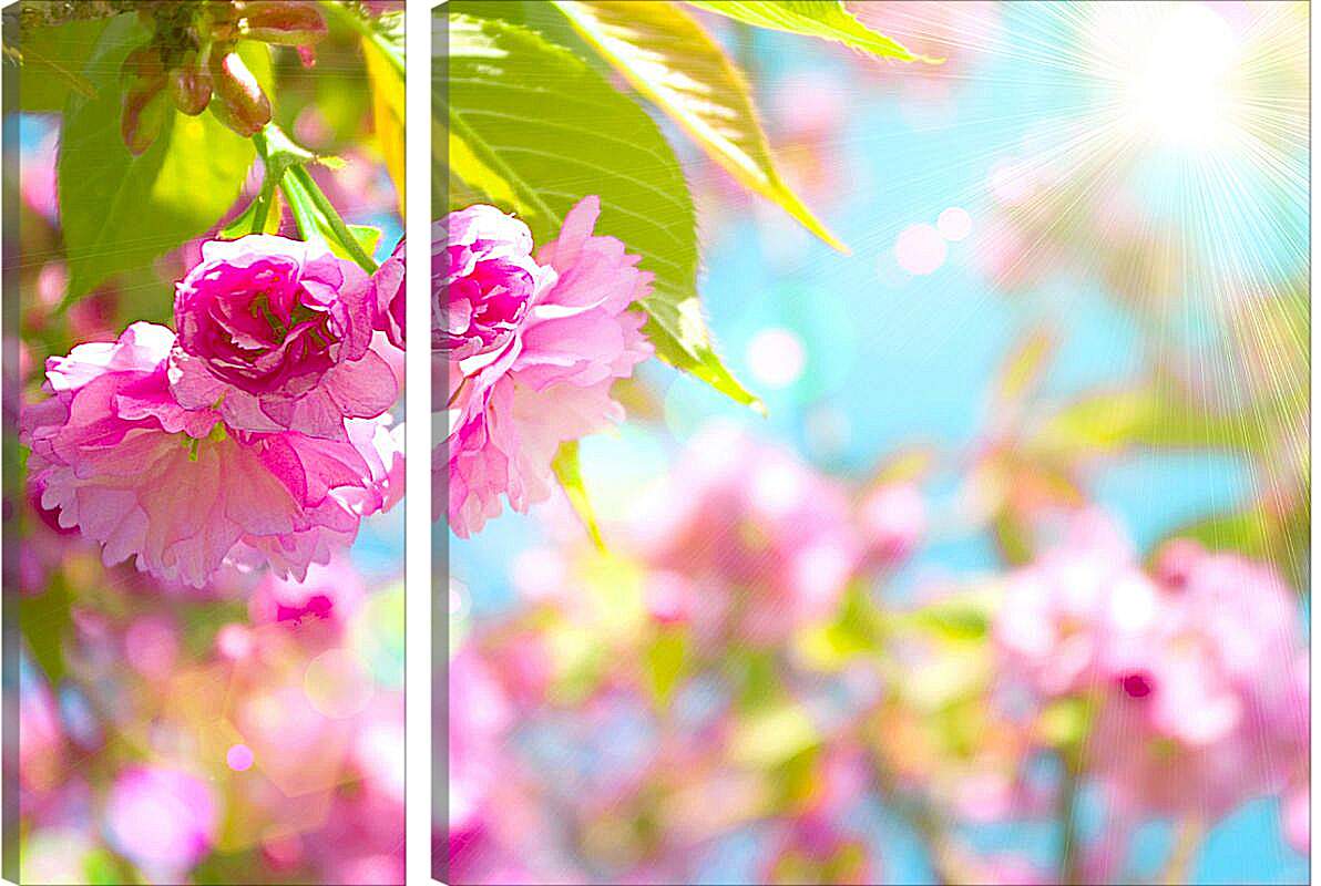 Модульная картина - Розовые цветы и солнце