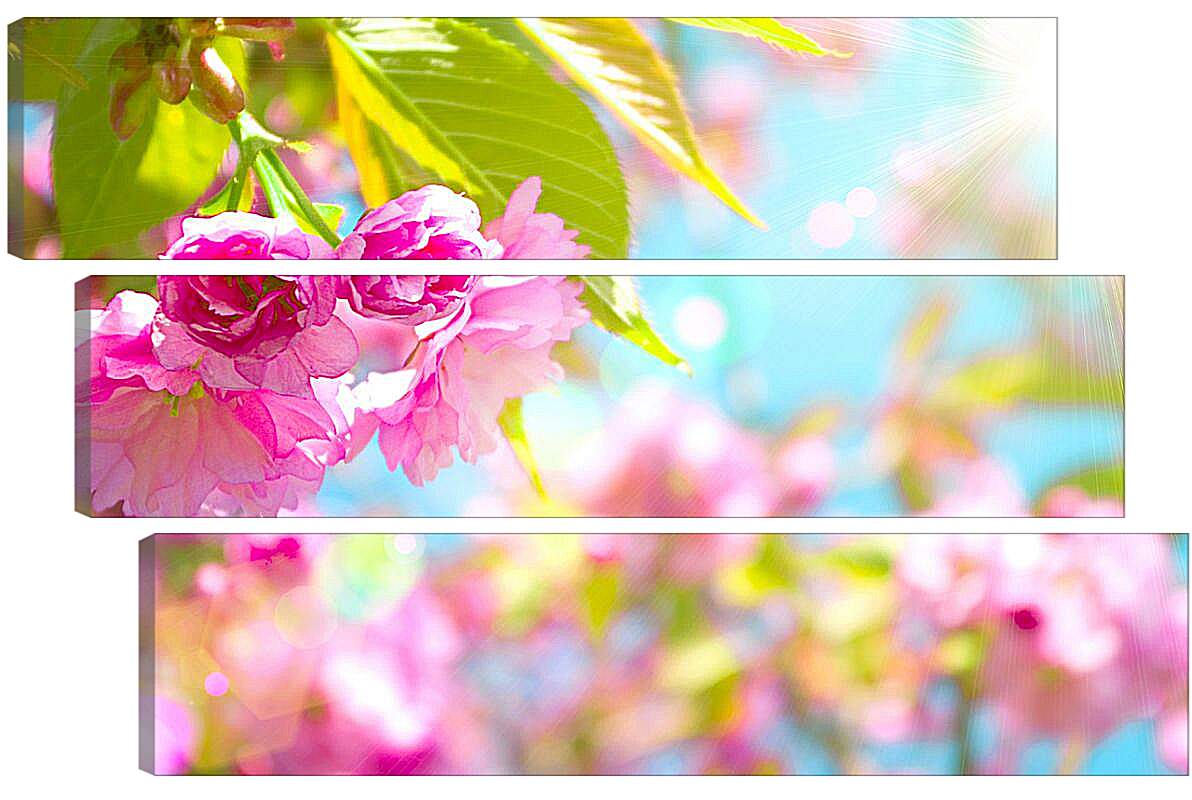 Модульная картина - Розовые цветы и солнце
