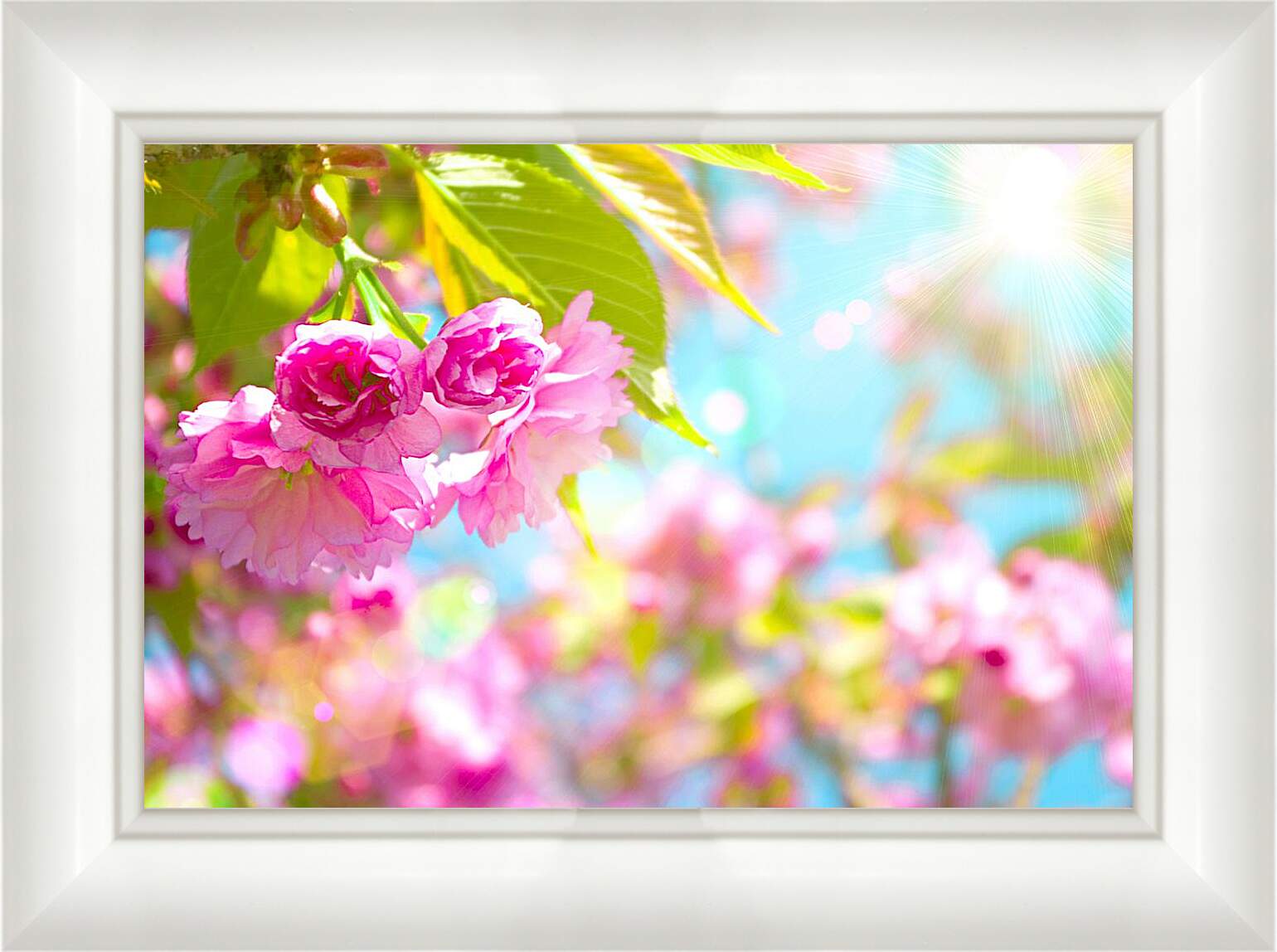 Картина в раме - Розовые цветы и солнце