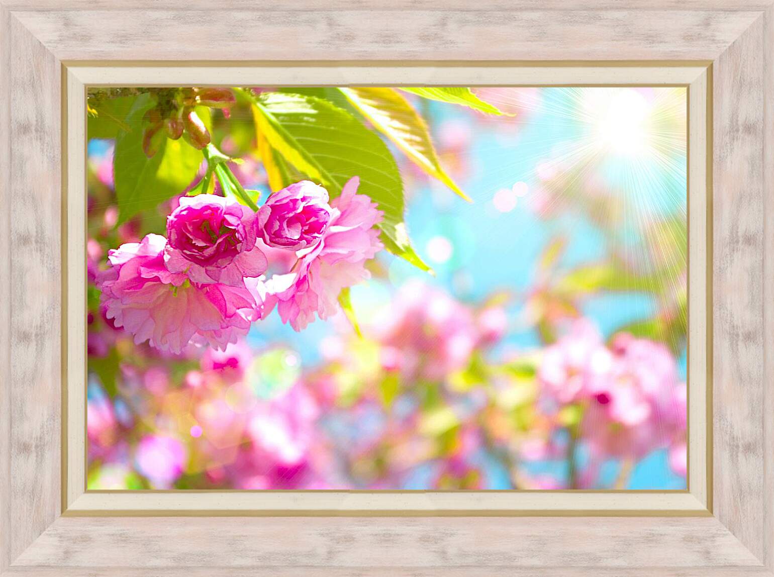 Картина в раме - Розовые цветы и солнце