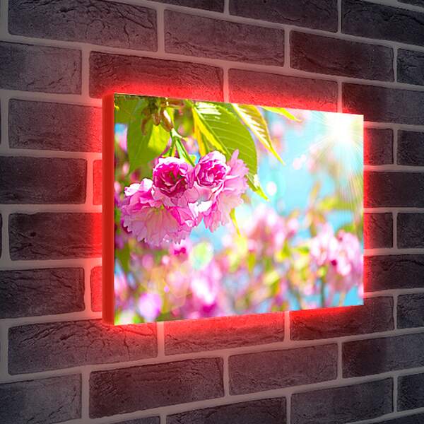 Лайтбокс световая панель - Розовые цветы и солнце