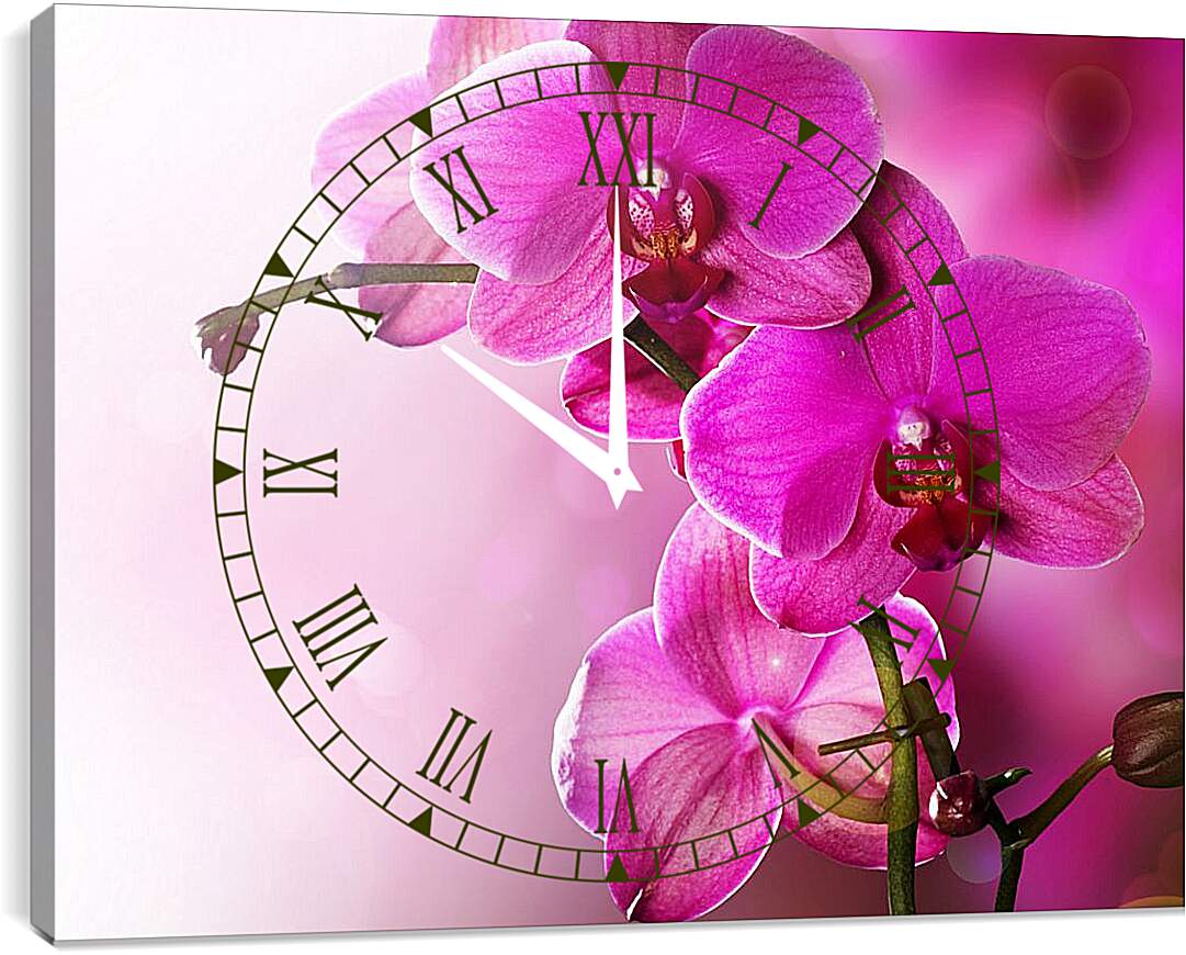 Часы картина - Розовая орхидея