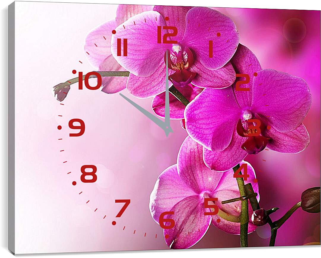 Часы картина - Розовая орхидея