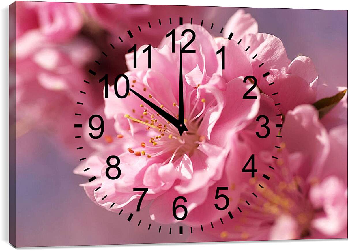 Часы картина - Цветок сакуры
