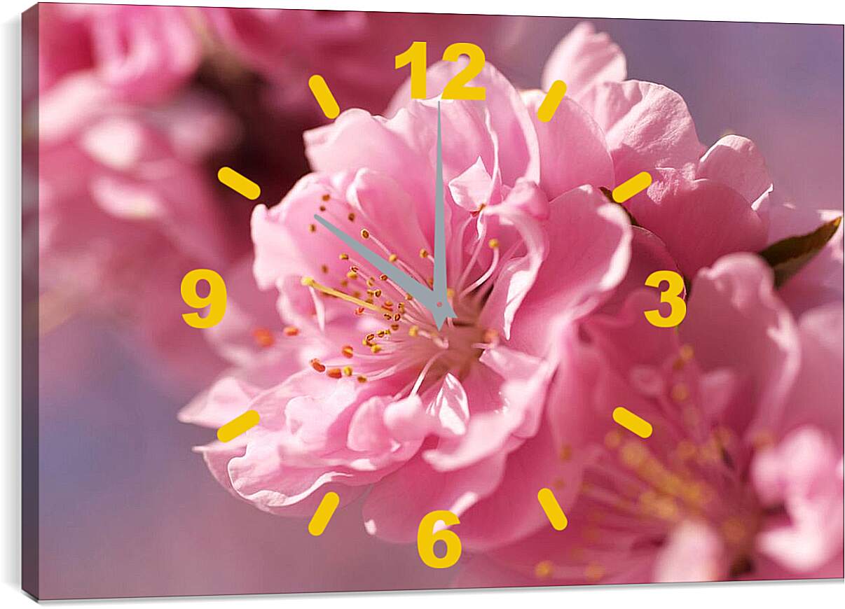 Часы картина - Цветок сакуры