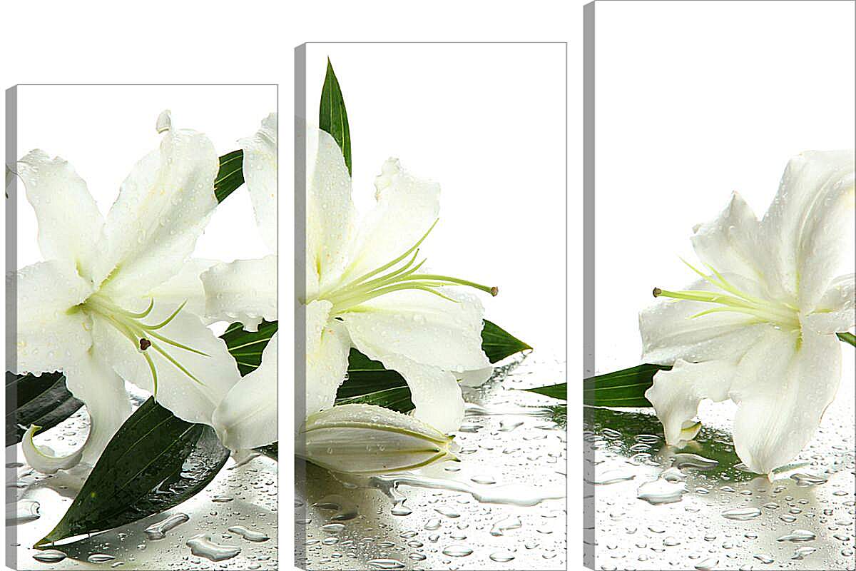 Модульная картина - Белые лилии