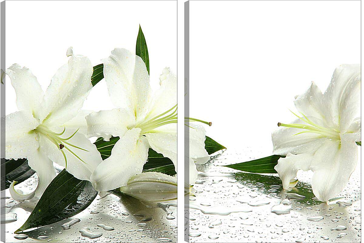 Модульная картина - Белые лилии