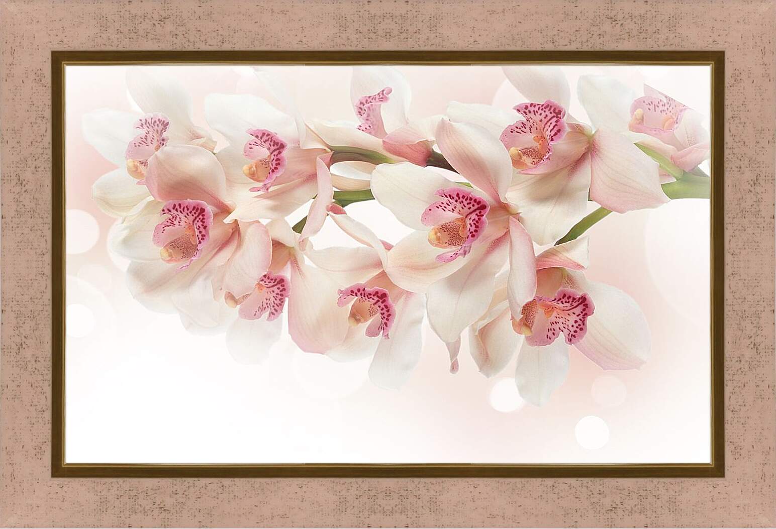 Картина в раме - Белые орхидеи
