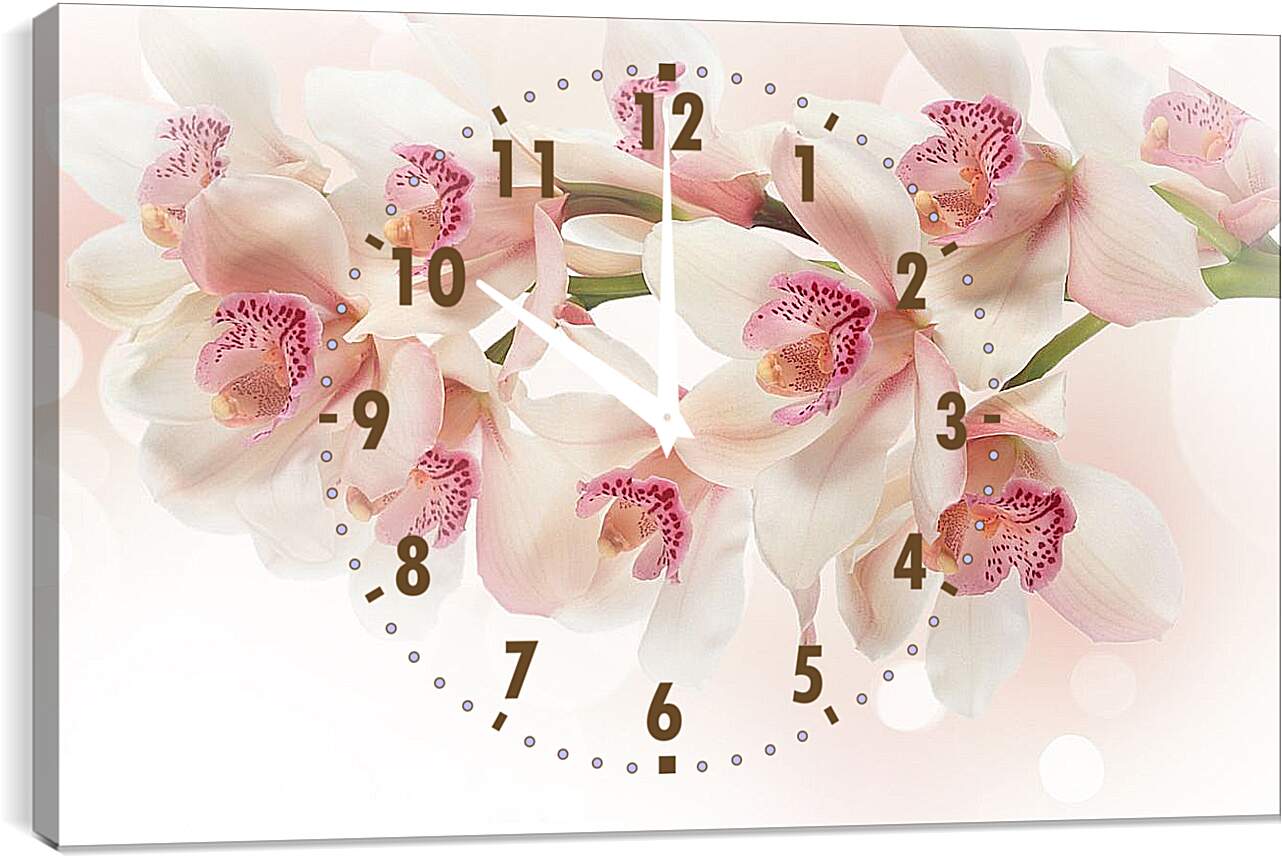 Часы картина - Белые орхидеи