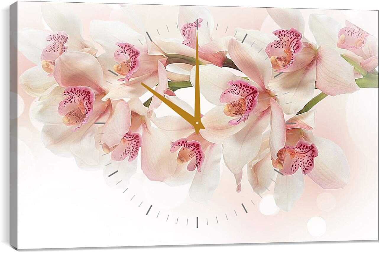 Часы картина - Белые орхидеи