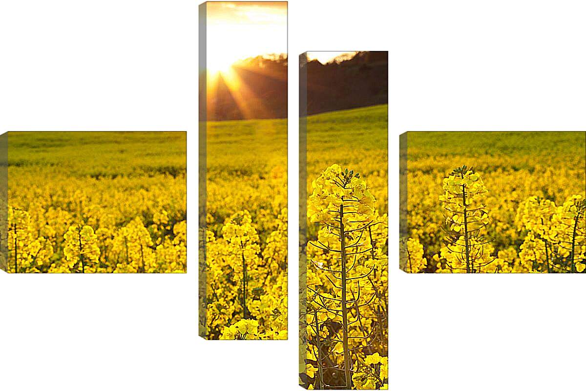 Модульная картина - Красивые желтые цветки