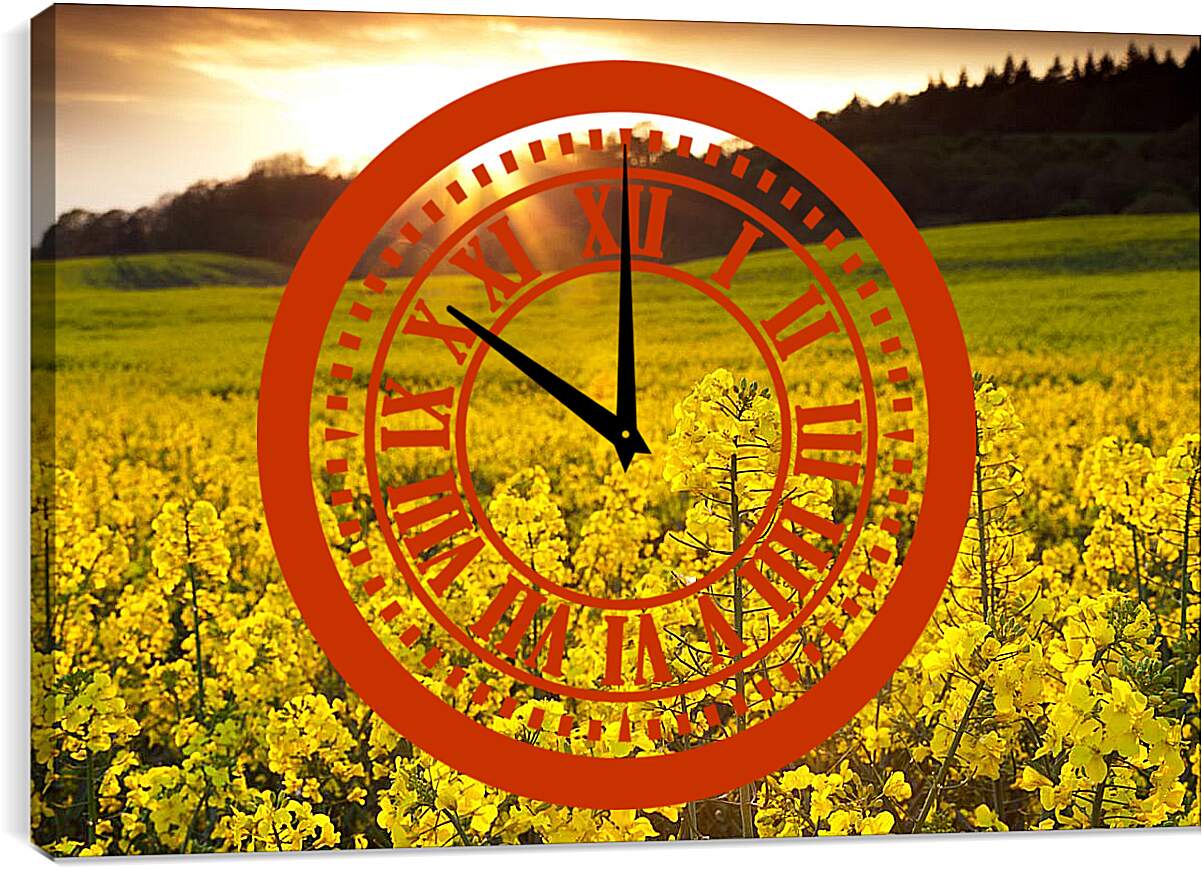 Часы картина - Красивые желтые цветки
