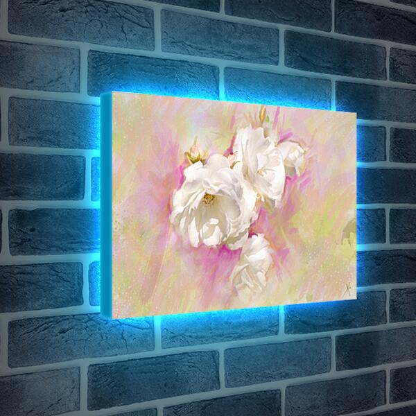 Лайтбокс световая панель - Белые цветы
