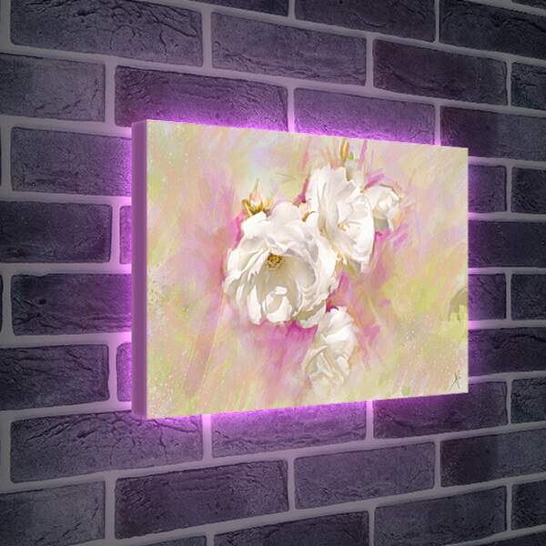 Лайтбокс световая панель - Белые цветы