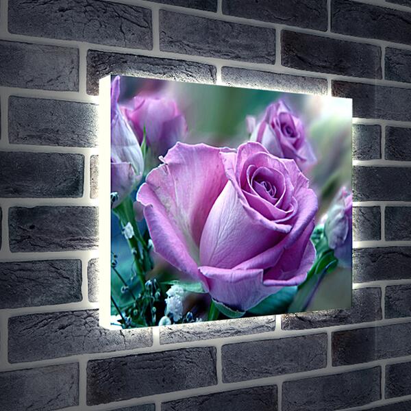 Лайтбокс световая панель - Сиреневая роза