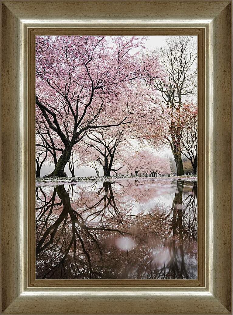 Картина в раме - Сакура у пруда
