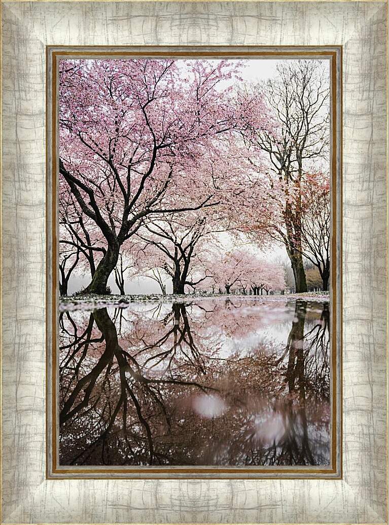 Картина в раме - Сакура у пруда