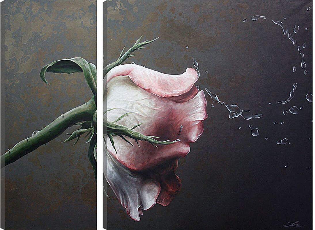 Модульная картина - Роза и капли воды